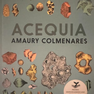 Acequia - Amaury Colmenares