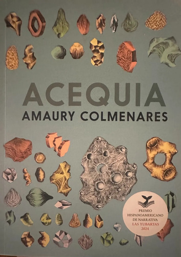 Acequia - Amaury Colmenares
