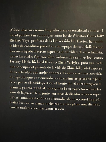 Winston Churchill - Richard Toye