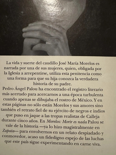 Morelos: Morir Es Nada - Pedro Ángel Palou